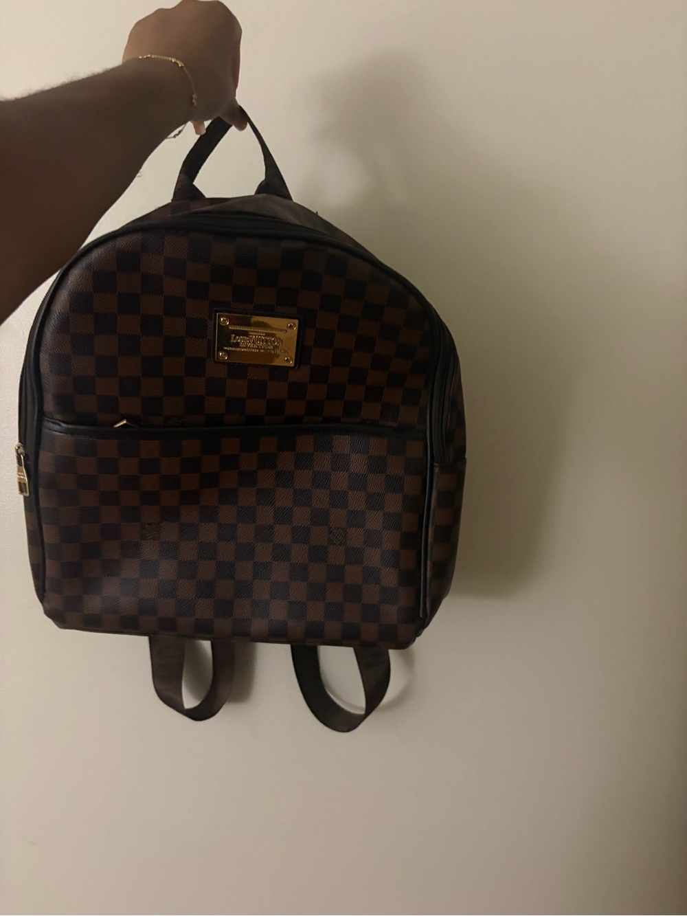 Louis Vuitton Brown Damier Canvas Men's Backpack with Gold Plate